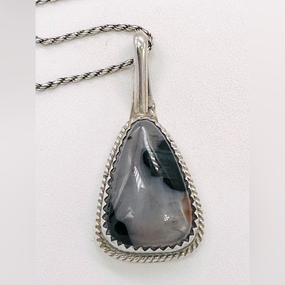 Ahasteen Sterling Silver Petrified Wood Pendant Necklace Rope Chain Navajo - Picture 1 of 6